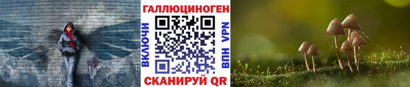 Купить где  Подольск  Галлюциногенные грибы мухоморы 